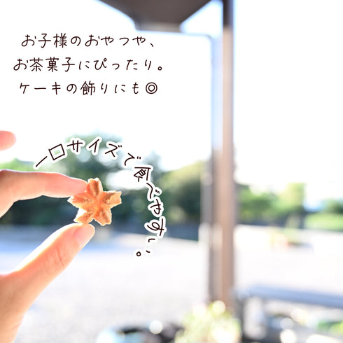 みかんの心輪くっきい(マカロンラスク)を手に持っている写真
